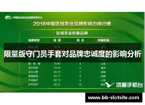 限量版守门员手套对品牌忠诚度的影响分析